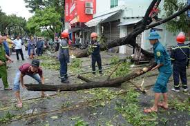 Hỗ trợ người nộp thuế khắc phục thiệt hại bão số 3